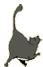 Polifeid